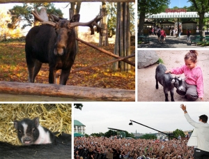 Här är det aldrig tråkigt!